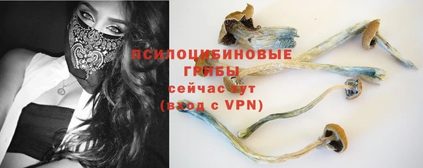 прущая мука Алексин