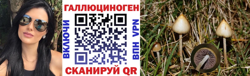 Псилоцибиновые грибы мицелий Дзержинский