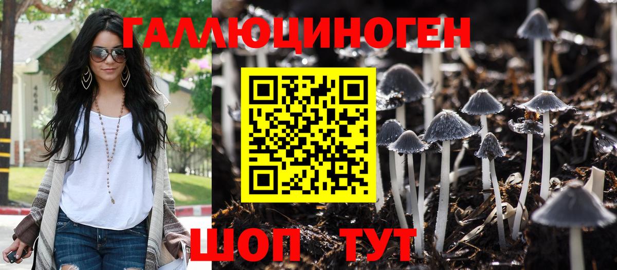 Псилоцибиновые грибы Psilocybe Дзержинский
